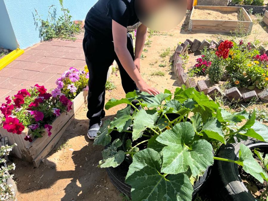 التعليم البيئي المستدام في رياض الأطفال في اللقية